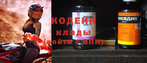 круглые Гусев