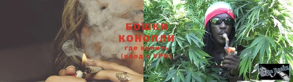 круглые Гусев