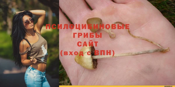 дурь Гусь-Хрустальный