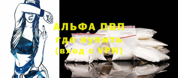 круглые Гусев