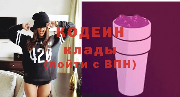 круглые Гусев