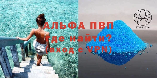 круглые Гусев
