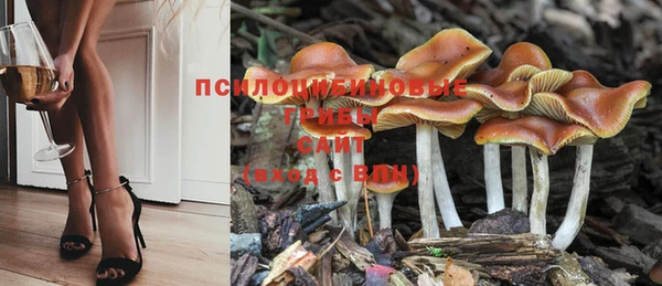 круглые Гусев