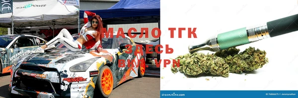 круглые Гусев