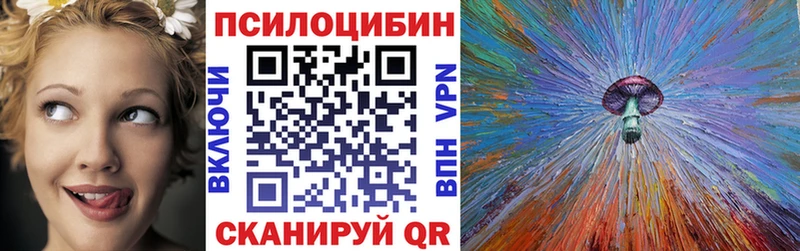 Псилоцибиновые грибы Psilocybine cubensis  Петровск-Забайкальский 